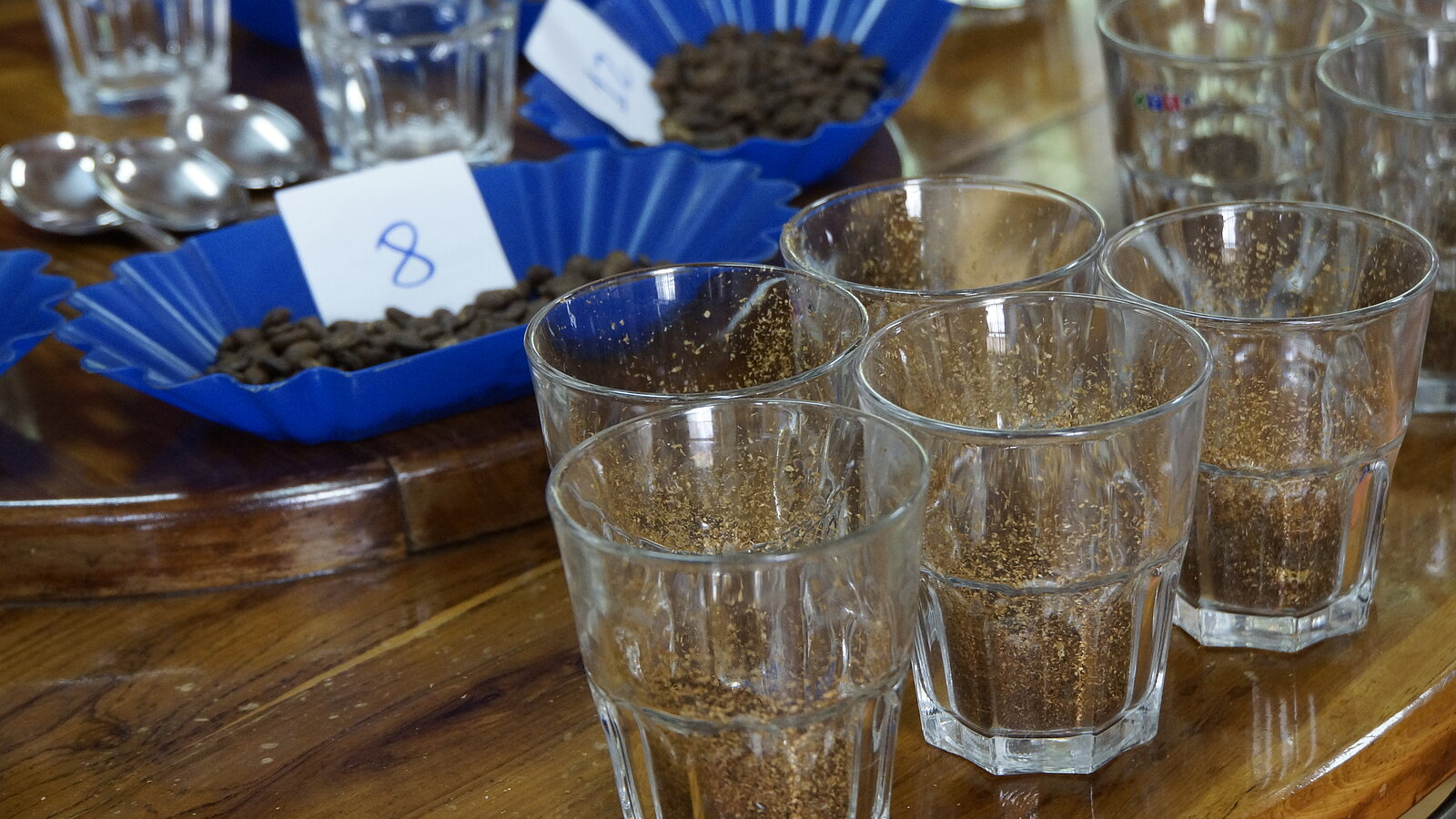 cupping prodecoop partenaire Lobodis au Nicaragua
